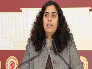 DBP Eş Genel Başkanı Tuncel açlık grevine başlıyor