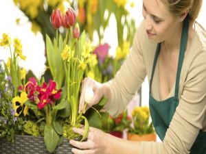 Siirt'te çiçekçilik geliştirilecek