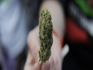 Uyuşturucu operasyonlarında 2 ton 840 kilogram esrar ele geçirildi