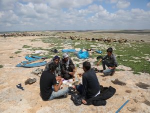Göçerlerin "yaz maratonu" başladı