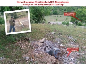 Hazro’da yol kenarına tuzaklanan EYP imha edildi