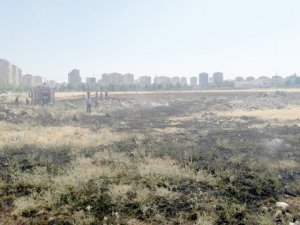 Göz göre göre kül oldu!