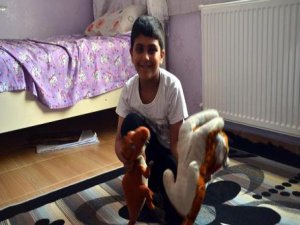 Ablasını kanserden kaybeden 8 yaşındaki Özgürcan hayata tutundu