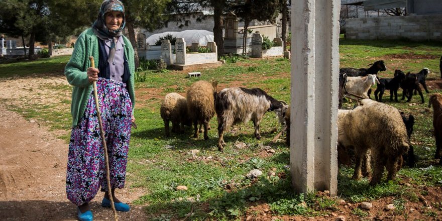 86 yaşındaki çoban Nine: Yaşananlardan korkmuyoruz