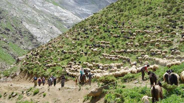 Van'da 103 yaylaya yasak getirildi