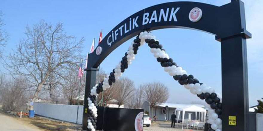 Çiftlik Bank'ın beyin takımı ortaya çıktı