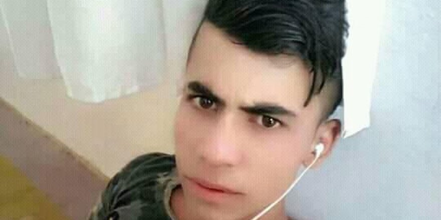 Hayvan otlatırken kayalıklardan düşen liseli öldü