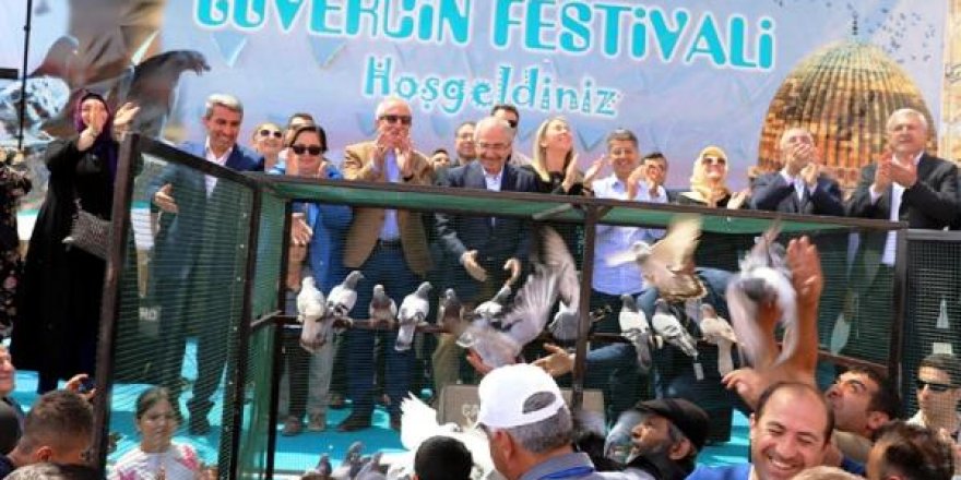 Mardin'de Güvercin Festivali