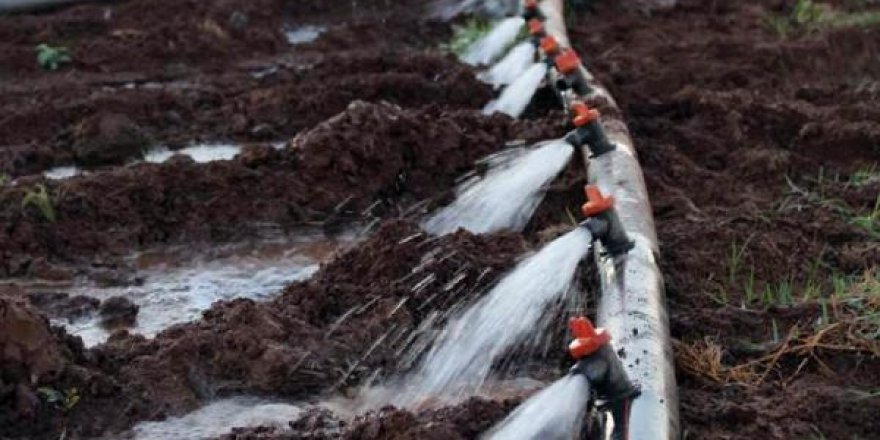 ‘Tarımsal sulamada elektrik tüketimi yüzde 260 arttı’