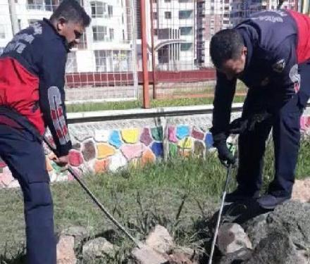 Yılanı azade ettiler