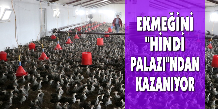 Yıllık 4 milyon 800 bin kapasiteli