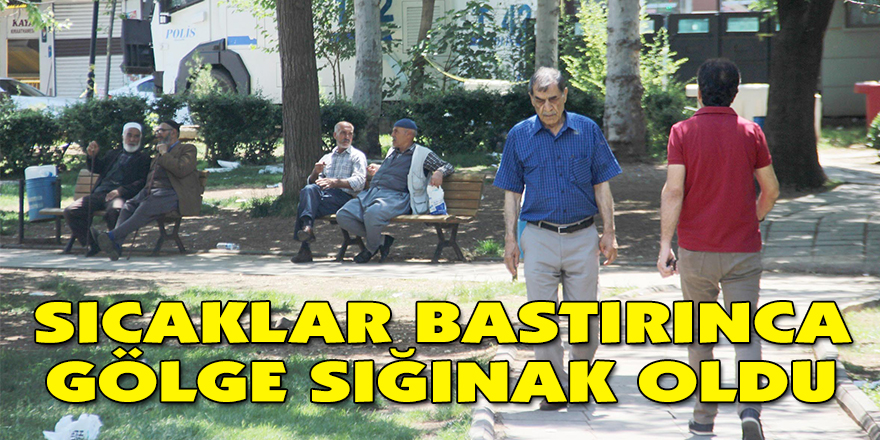 Sıcaklar bastırınca gölge sığınak oldu