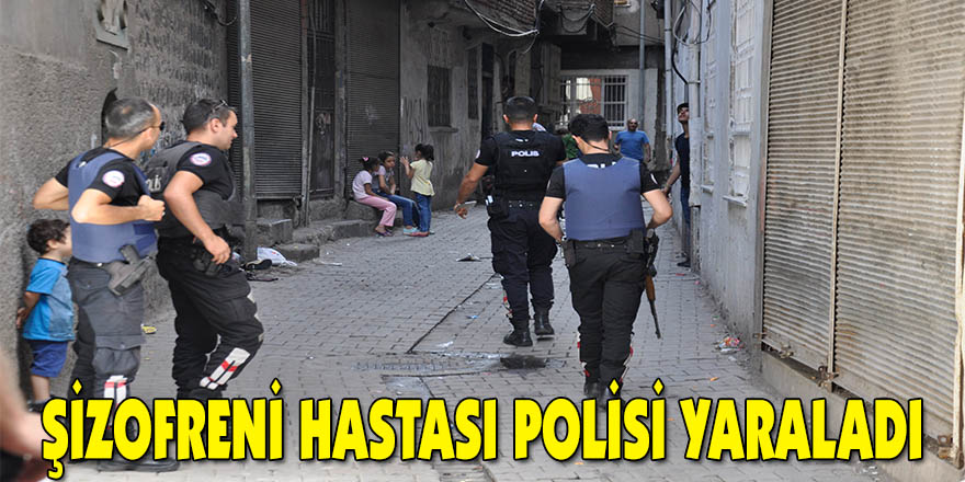 Şizofreni hastası polisi yaraladı