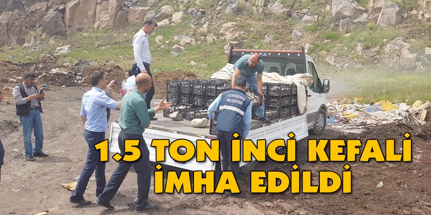 1.5 TON İNCİ KEFALİ İMHA EDİLDİ