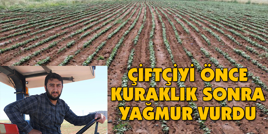 Çiftçiyi önce kuraklık sonra yağmur vurdu