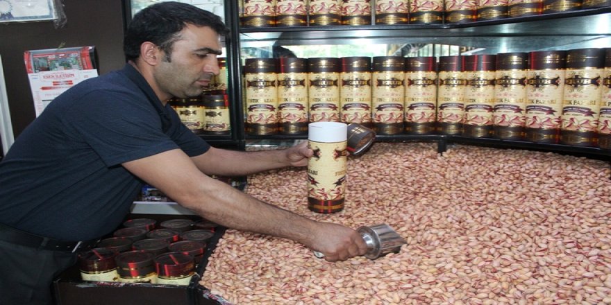 Devlet desteğiyle "fıstık" gibi yatırım