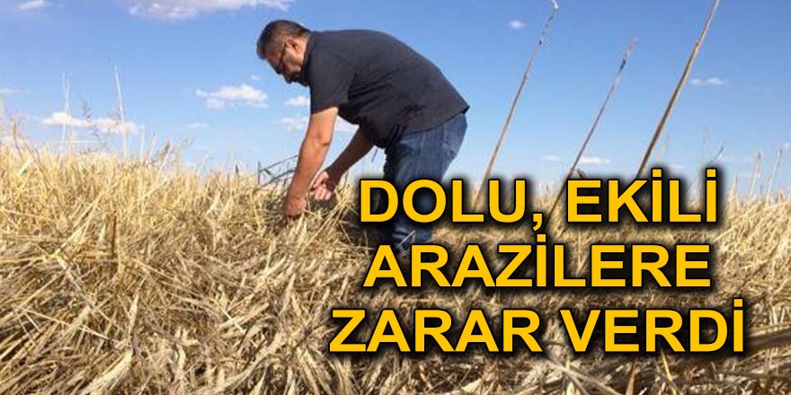 DOLU, EKİLİ ARAZİLERE ZARAR VERDİ