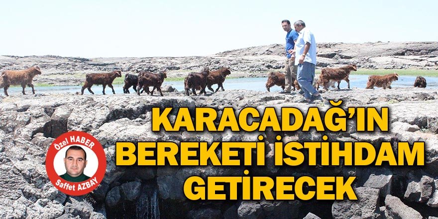 KARACADAĞ’IN BEREKETİ İSTİHDAM GETİRECEK