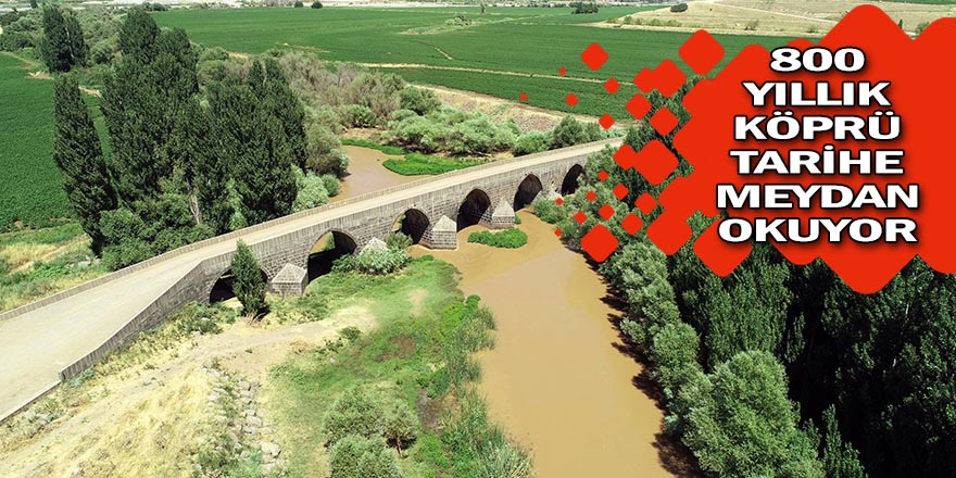 Köprü koruma altına alınacak