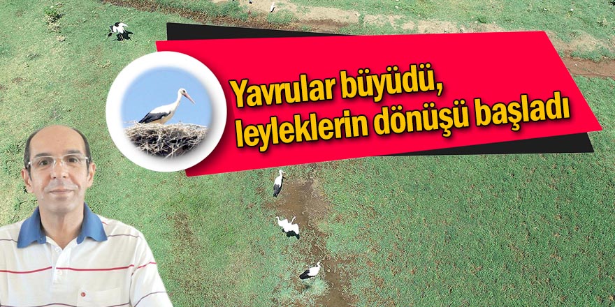 '5-6 BİN KİLOMETRE ÖTEDEKİ AFRİKA'DAN GELİYORLAR'