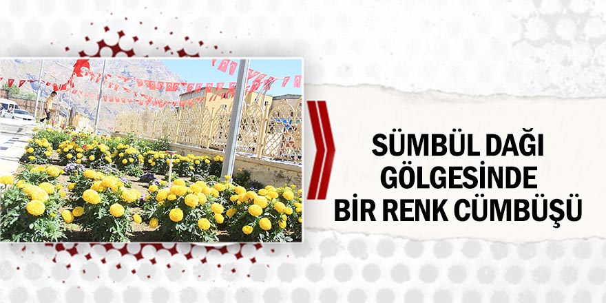 Kent merkezine ayrı bir güzellik katıyor
