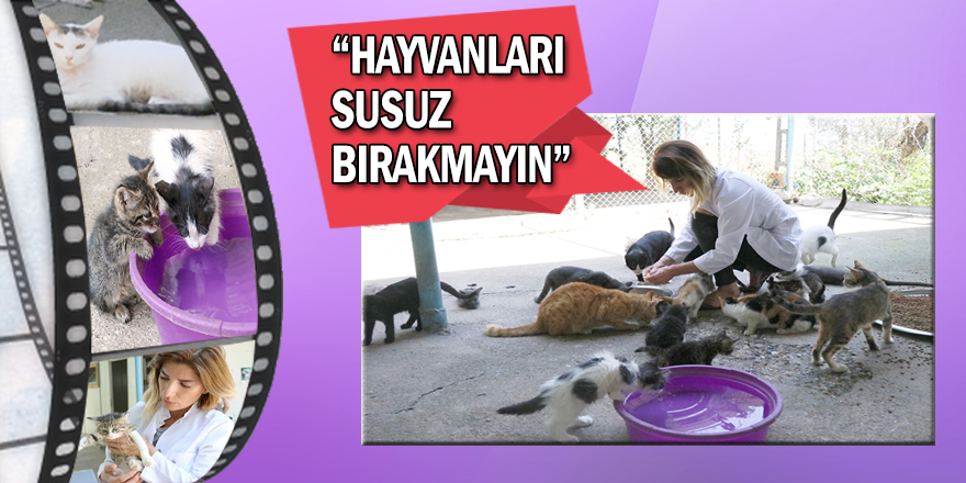 “Hayvanlar için bir doğa bırakmadık”