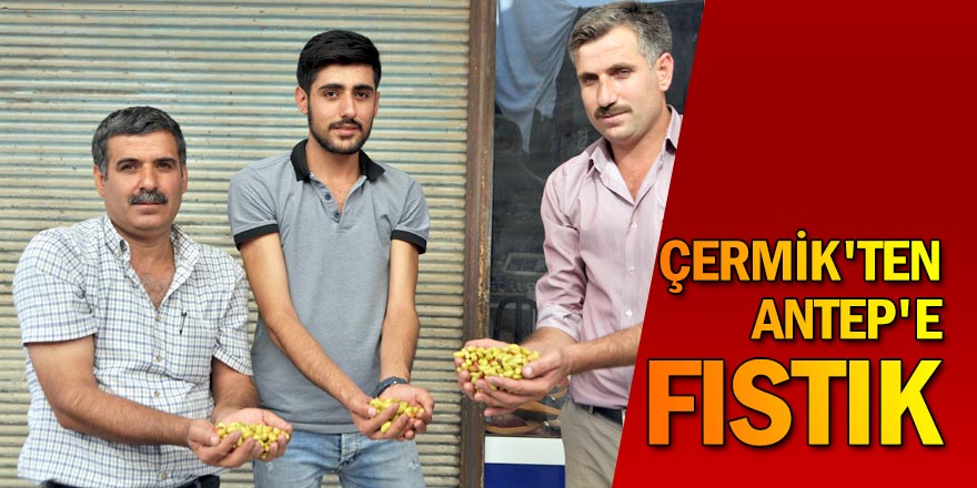 Fıstıklar Çermik'ten...
