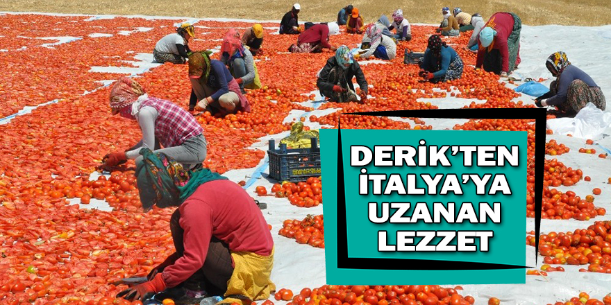 "5 bin kadın istihdam ediliyor"