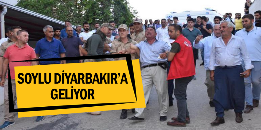 Bakan Soylu Diyarbakır'a geliyor
