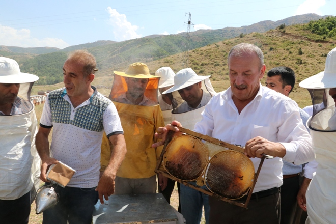 Yaylalarda ilk bal hasadı