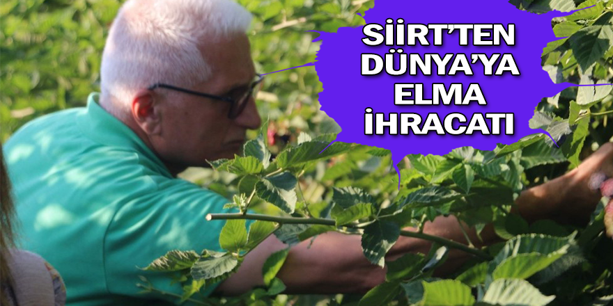 Tam kapasite çalışırsa bin kişiye istihdam sağlayacak