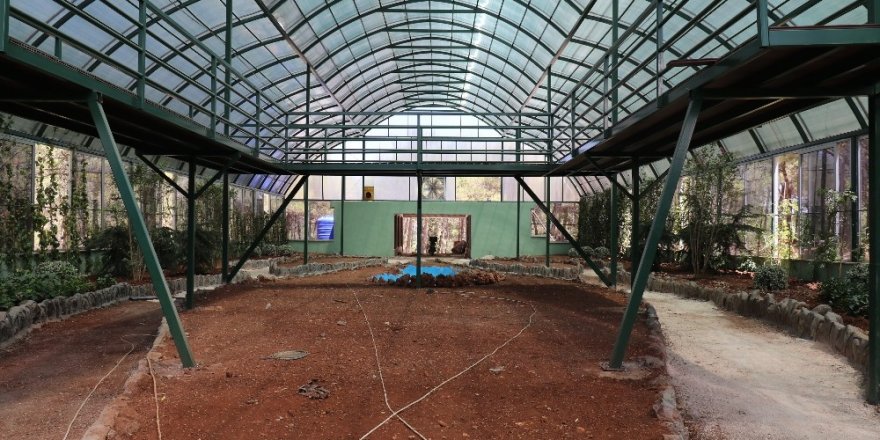 Nesli Tükenen Kelebekler İçin Tropik Merkez