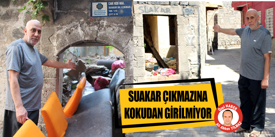 'Sivrisineklerden, böceklerden, farelerden geçilmiyor'