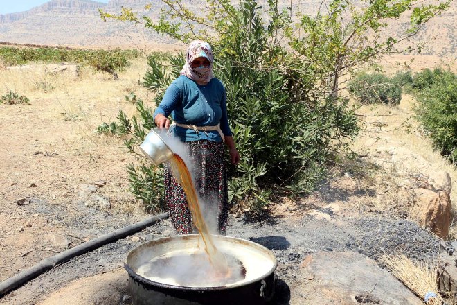 Bağ bozumu başladı