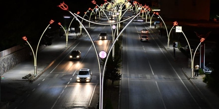 Lale Motifli sokak lambaları