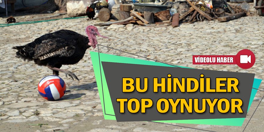 Hindiler top oynadı, mahalleli şaşkın bakışlarla izledi