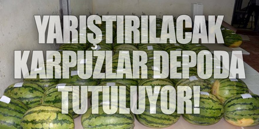 'BU YIL KARPUZ ÜRETİMİ DE VERİMİ DE AZ'