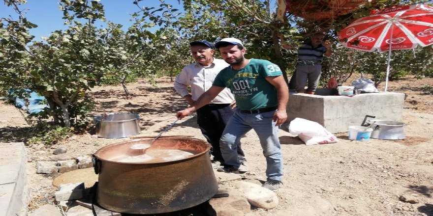 Pekmez yapımı başladı