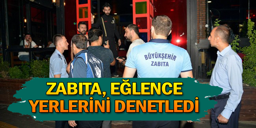 Umuma açık istirahat ve eğlence yerleri denetlendi