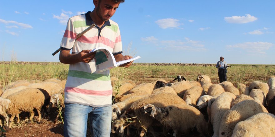 Çobanlık yaparken üniversiteye hazırlanan Musa diş hekimliğini kazandı