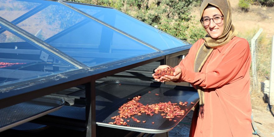 Güneş paneliyle kuruttuğu 'çıtır çilek'lerine pazar arıyor