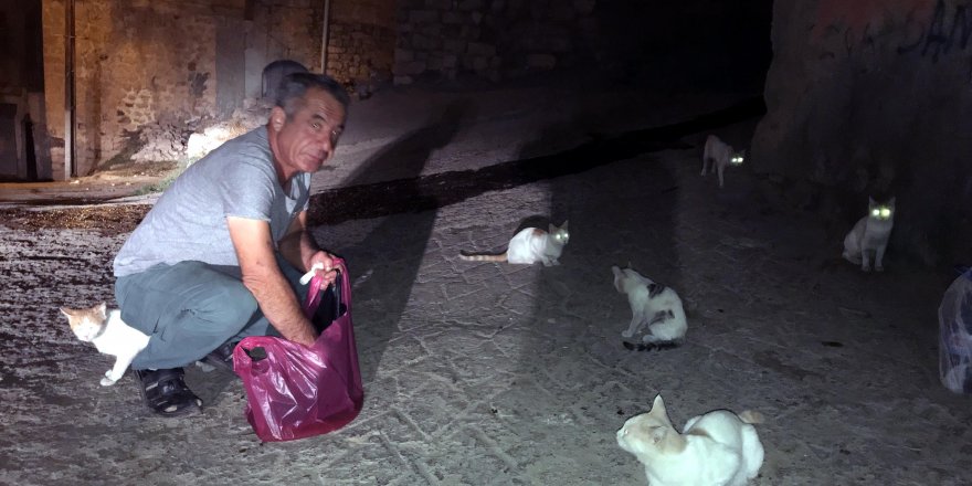 Seyyar satıcı, 30 yıldır kazancının bir bölümünü sokak kedilerine harcıyor