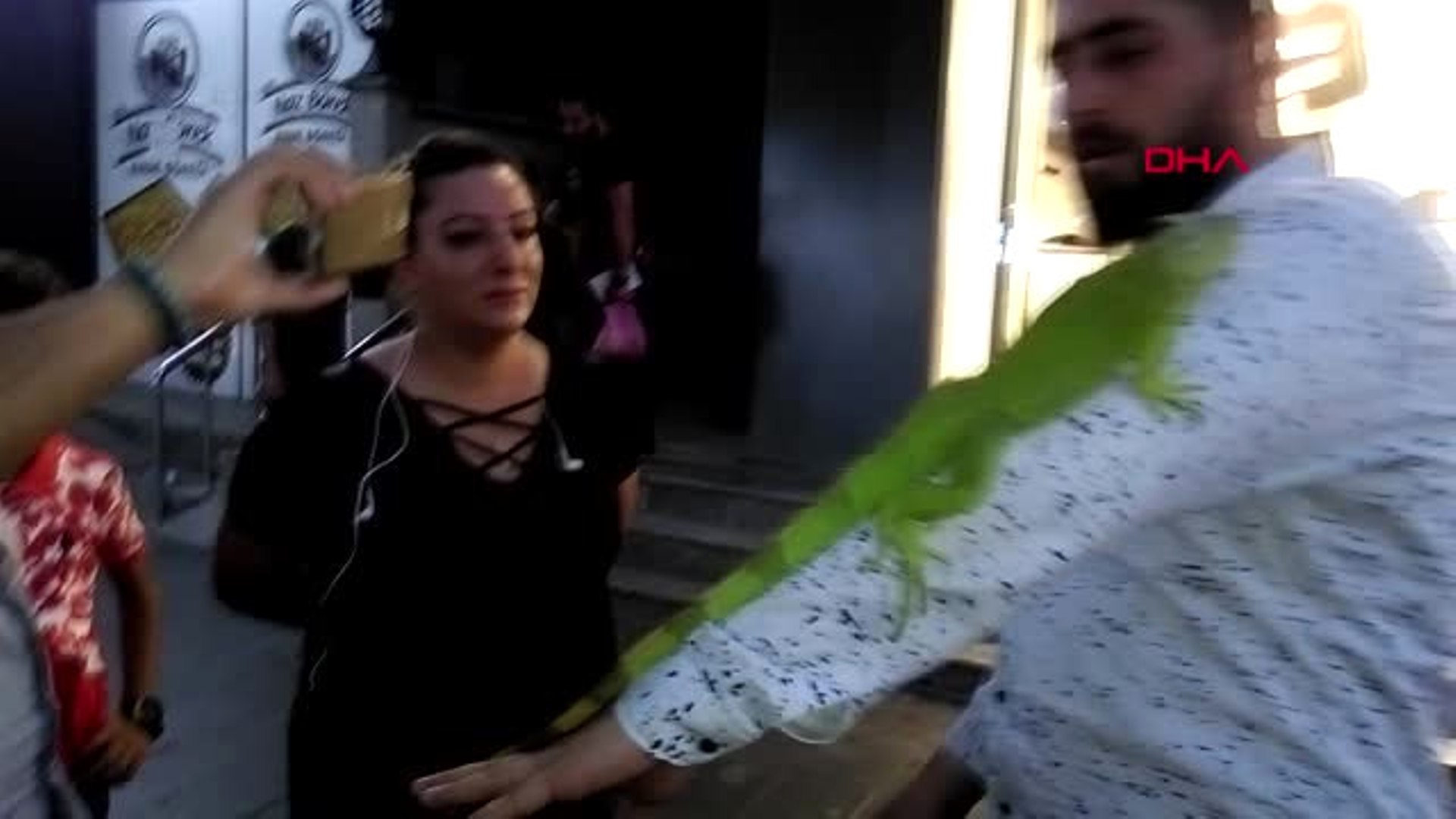 (VİDEO)Diyarbakırlı taksici, İguana 'Akif'i yanından ayırmıyor