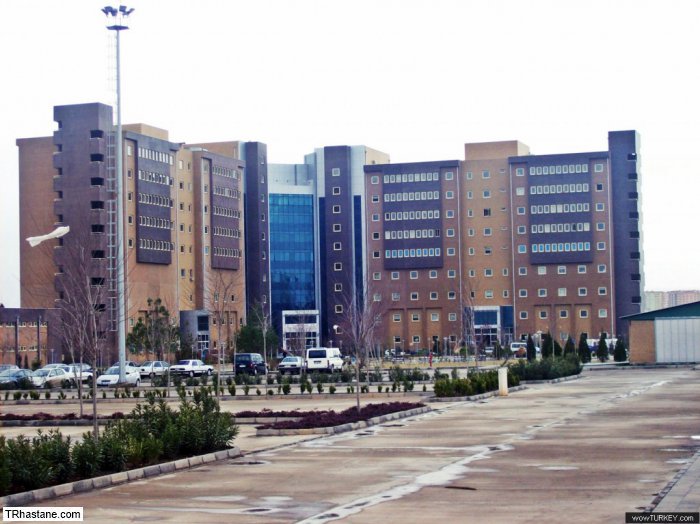 Diyarbakır çocuk hastanesinde 3 bebek neden öldü?