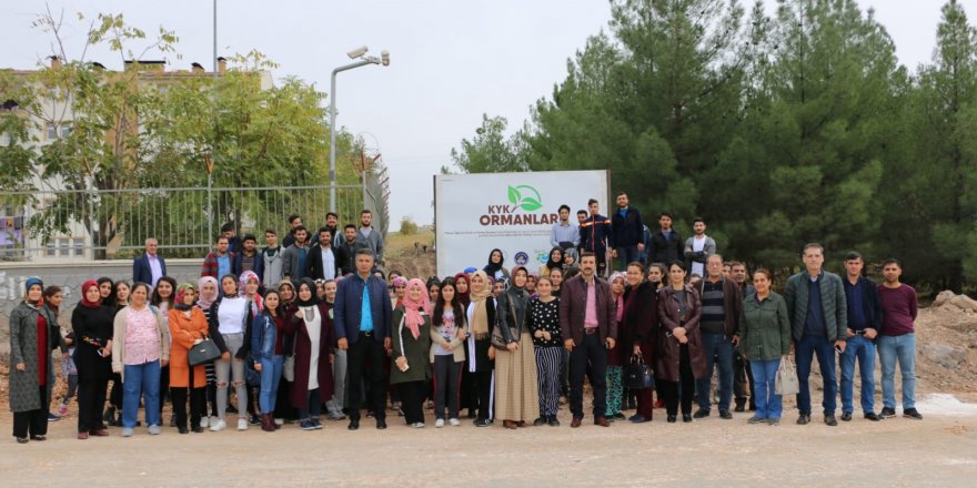 KYK ormanına üniversite öğrencileri 500 adet fidan dikti