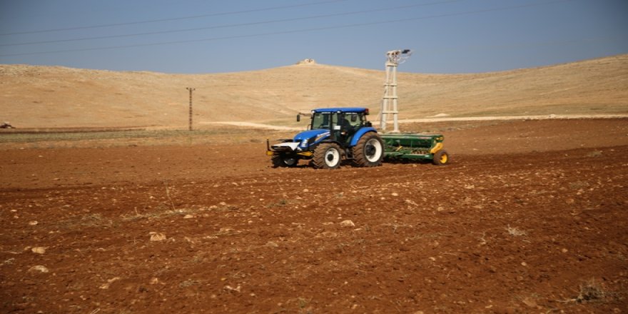 GAP çiftçisinin ekim telaşı