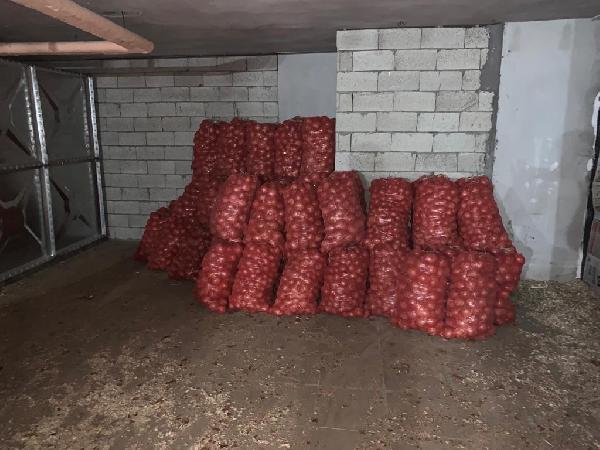 Mardin’de Bir Depoda 30 Ton Soğan Ele Geçirildi