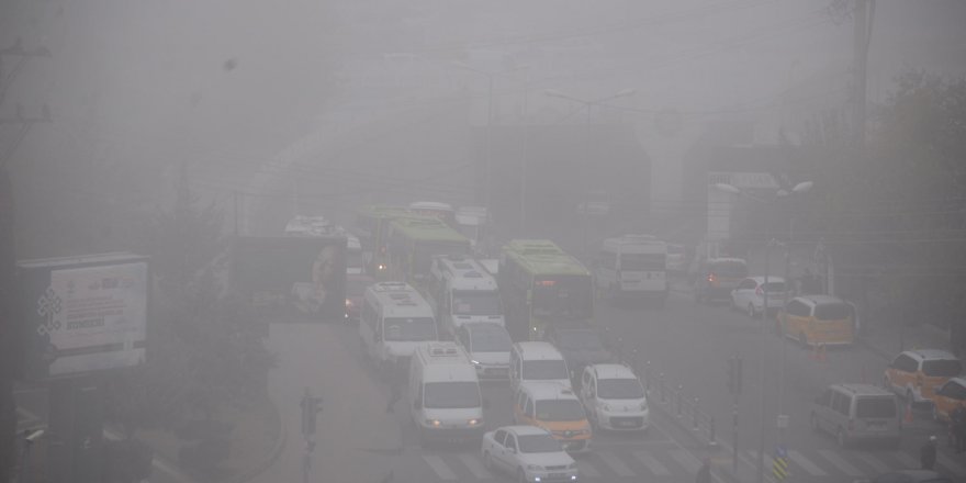 Diyarbakır'da etkili olan sis uçak seferlerini iptal ettirdi