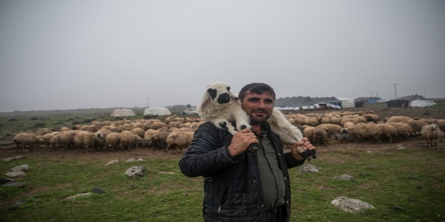 Sonbahar yağışları köylünün yüzünü güldürdü