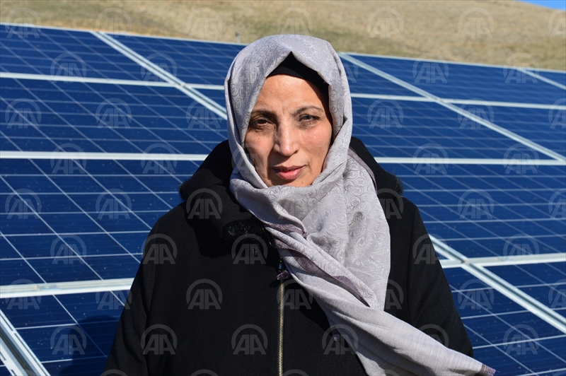 Kadın girişimci arazisini "güneş tarlası"na çevirdi
